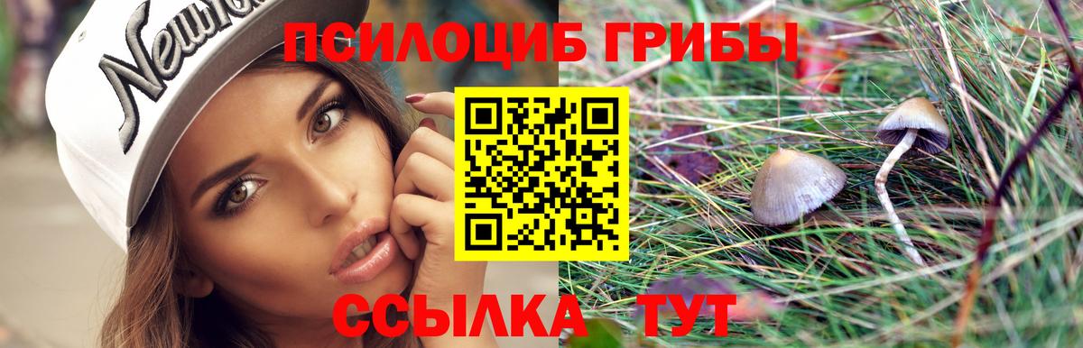 Галлюциногенные грибы Psilocybine cubensis Арзамас