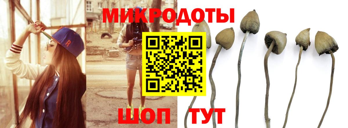где купить наркоту  Вход с VPN  Арзамас  Галлюциногенные грибы Magic Shrooms 